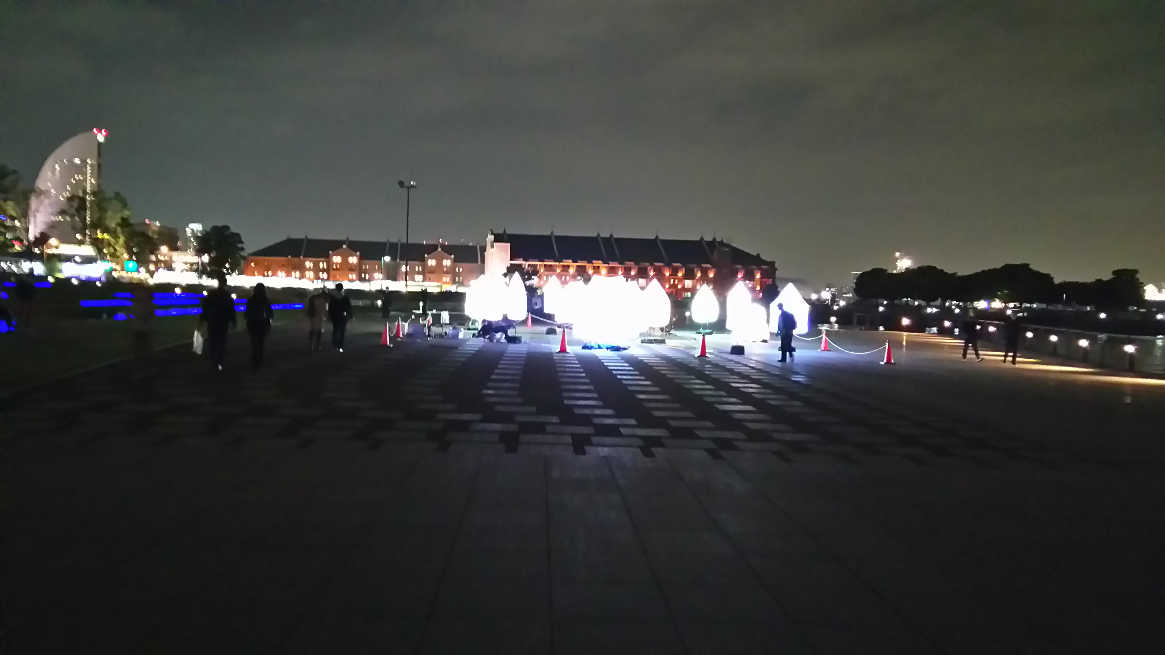 横浜市観光スポットの象の鼻パークと夜景とベンガルワシミミズクのベンジー君その11